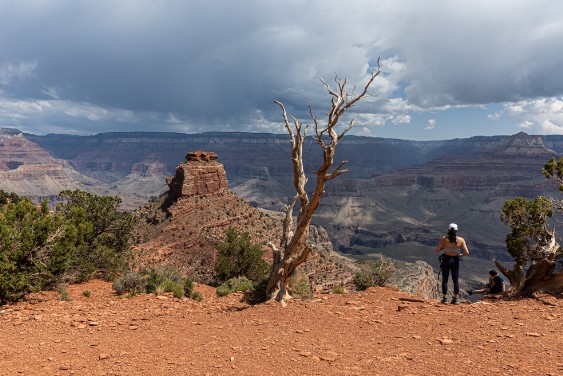 Grand Canyon - Wanderung zu Cedar Ridge