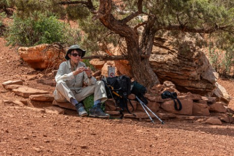 Grand Canyon - Picknick bei Cedar Ridge