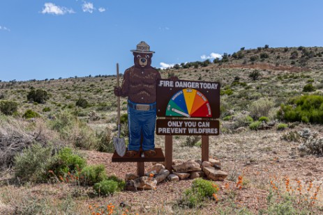 Smokey Bear am Highway 89 in Arizona