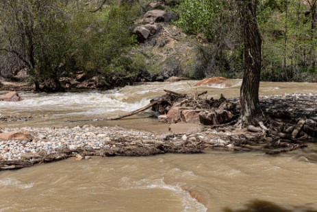 Riverside Walk im Zion Nationalpark