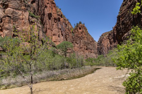 Riverside Walk im Zion Nationalpark