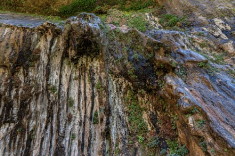 Weeping Rock im Zion Nationalpark