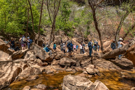 Emerald Pools im Zion Nationalpark