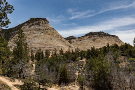 Checkerboard Mesa im Zion Nationalpark