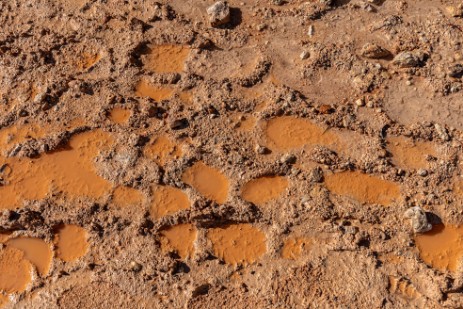 Verschlammter Wanderweg im Bryce Canyon